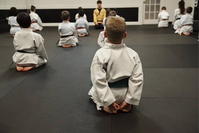 Himchari Martial Arts - Burke Commons Picture 6