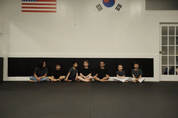 Himchari Martial Arts - Burke Commons Picture 7