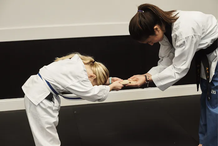 Himchari Martial Arts - Burke Commons Picture 8