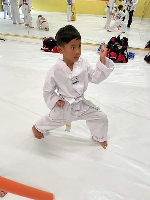 OSA Martial Arts-Burke Picture 4