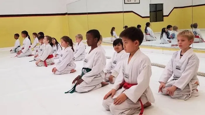 OSA Martial Arts-Burke Picture 6