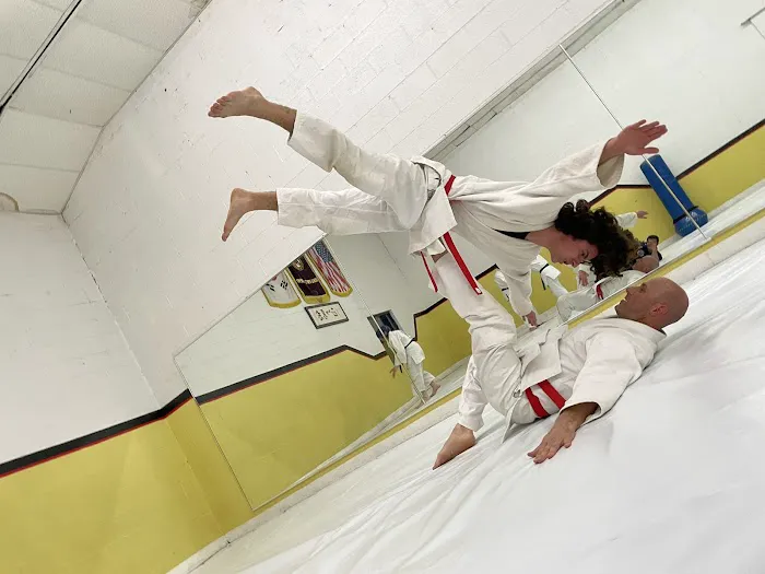 OSA Martial Arts-Burke Picture 8