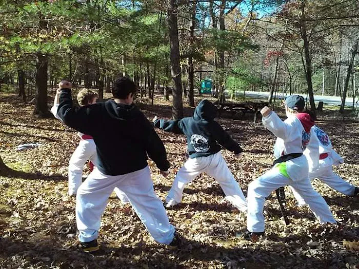 OSA Martial Arts-Burke Picture 7