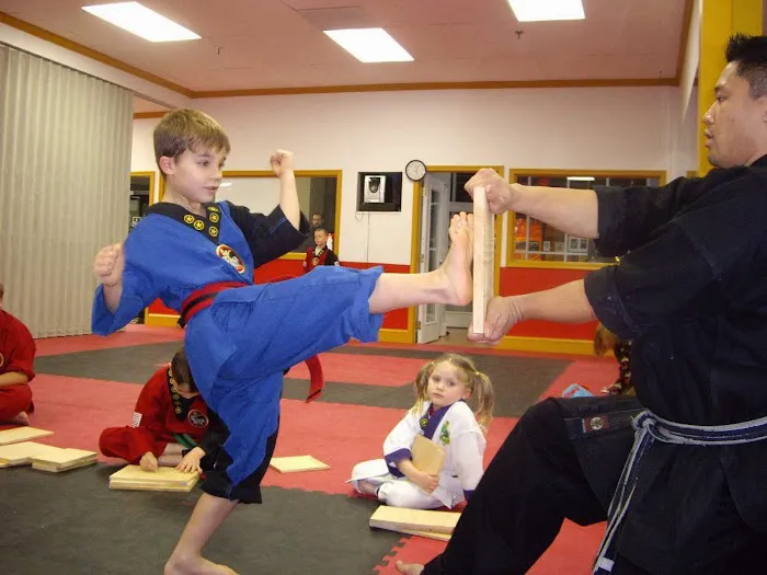 Black Belt Academy Picture 6