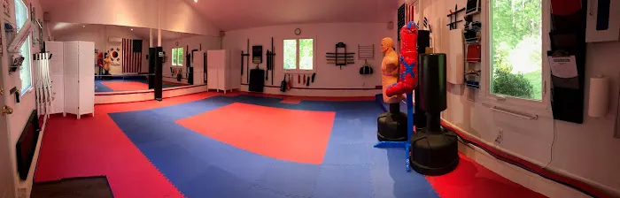 Martial Arts Tutoring (M.A.T.) studio Picture 3