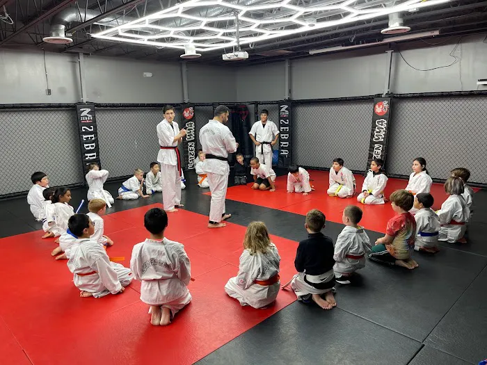 Kaizen MMA Fairfax Picture 4