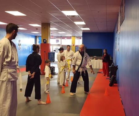 Family Martial Arts Inc.