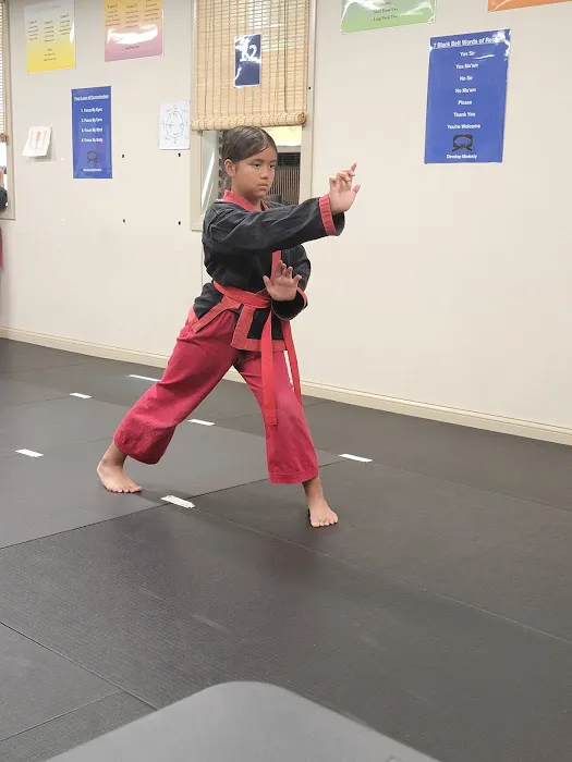 Family Martial Arts Inc. Picture 5