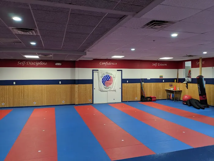 Elite Freestyle Karate Picture 2