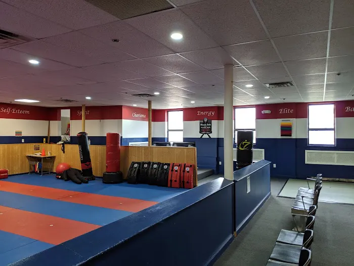 Elite Freestyle Karate Picture 1