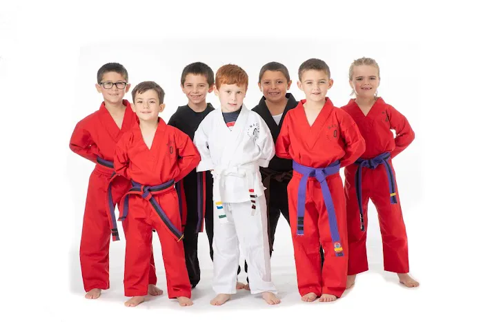 Master O Karate Picture 4