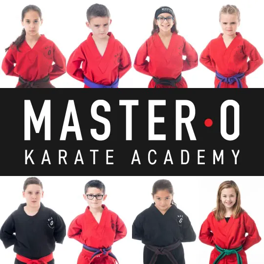 Master O Karate Picture 6