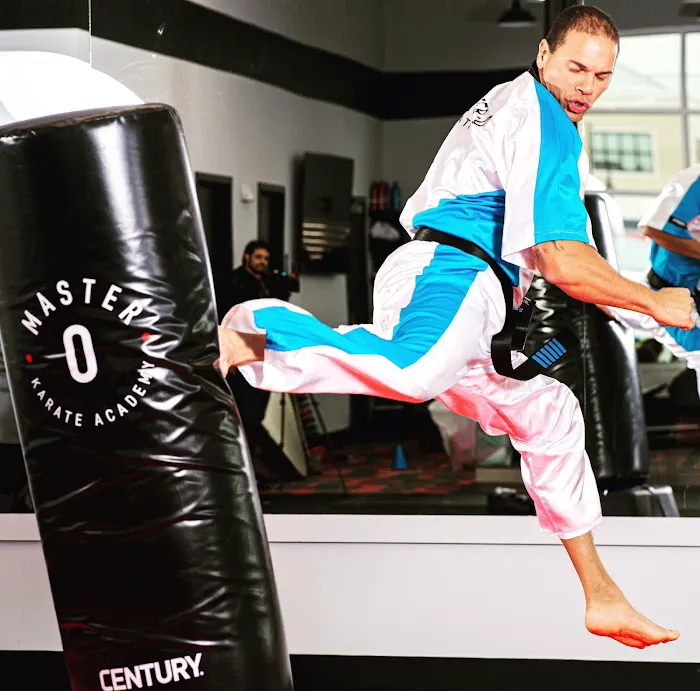 Master O Karate Picture 9