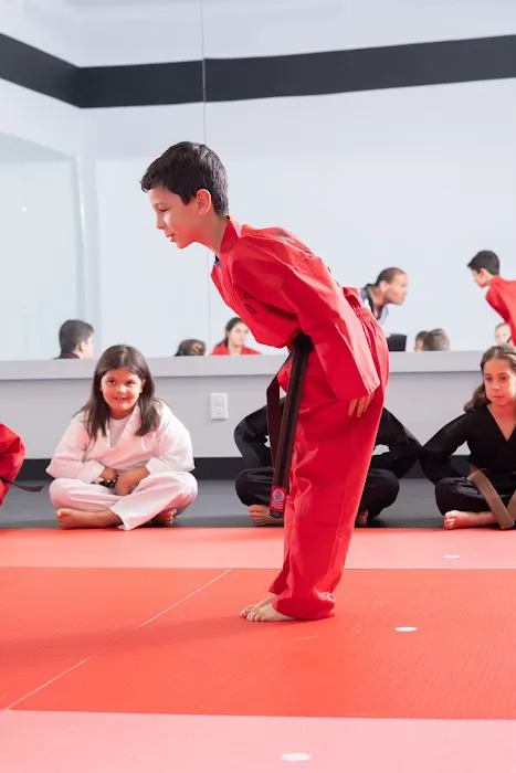 Master O Karate Picture 8