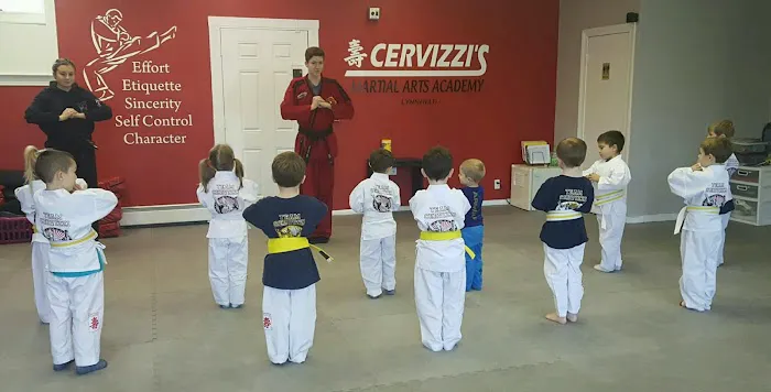 Cervizzi's Martial Art Academy Picture 3