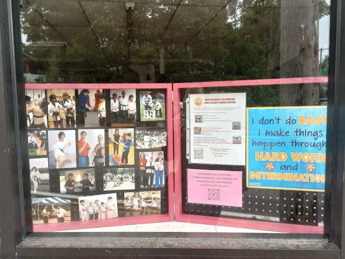 Tiger Institute Picture 3