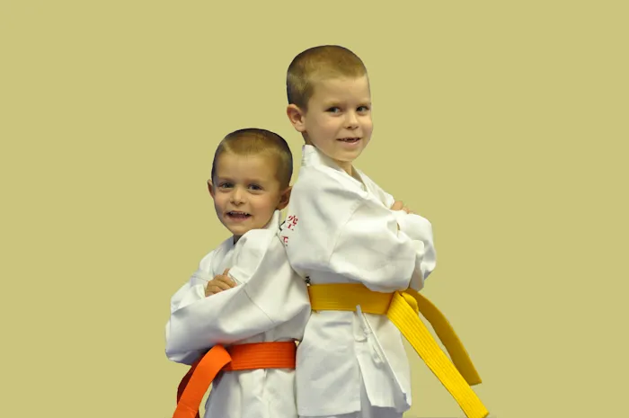 Academy of Traditional Karate, Inc. Picture 9