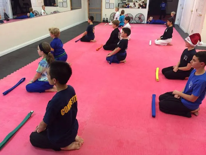 Cervizzis Martial Arts Picture 1