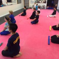 Cervizzis Martial Arts ico