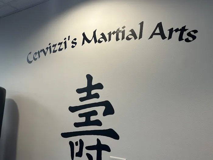 Cervizzis Martial Arts Picture 4