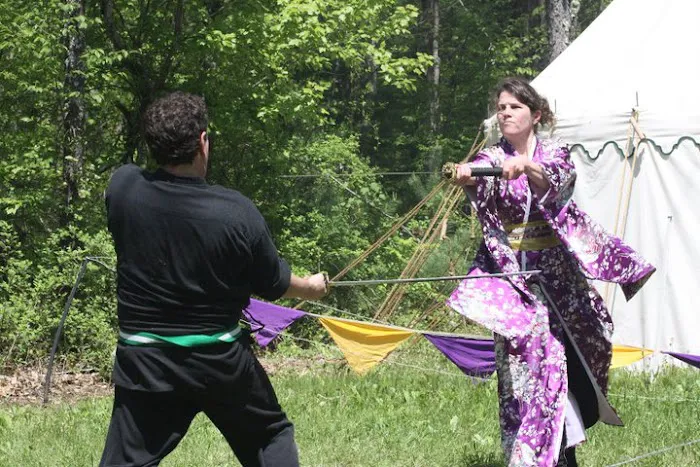 Shinobi Martial Arts Picture 2