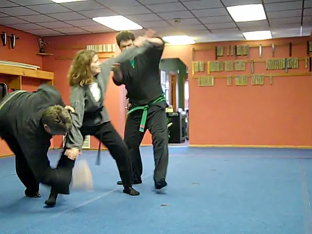 Shinobi Martial Arts Picture 4