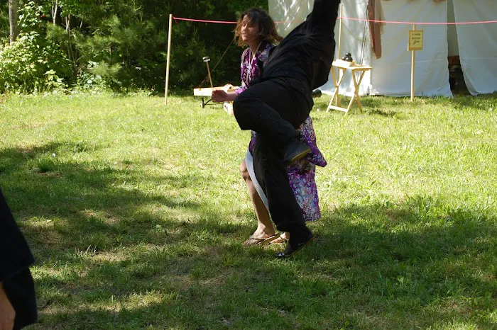 Shinobi Martial Arts Picture 8