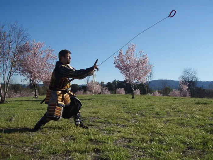 Shinobi Martial Arts Picture 10