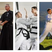 Golden Crane Traditional Martial Arts ico