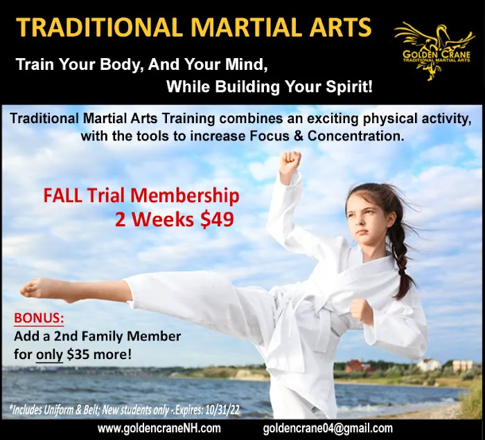 Golden Crane Traditional Martial Arts Picture 6