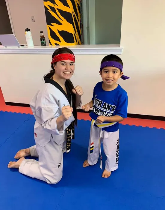 Tiger Black Belt Academy Picture 2