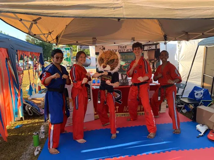 Tiger Black Belt Academy Picture 1