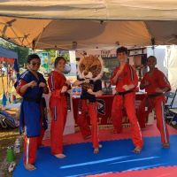 Tiger Black Belt Academy ico