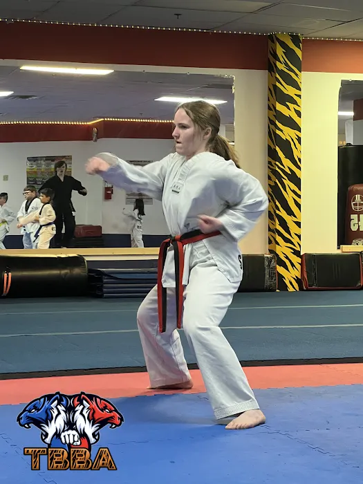 Tiger Black Belt Academy Picture 3