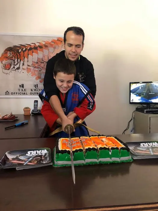 Tiger Black Belt Academy Picture 4