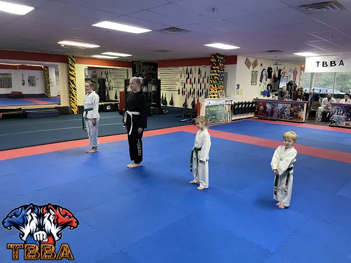 Tiger Black Belt Academy Picture 6