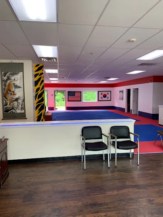 Tiger Black Belt Academy Picture 7