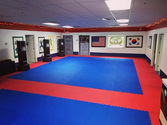 Tiger Black Belt Academy Picture 9