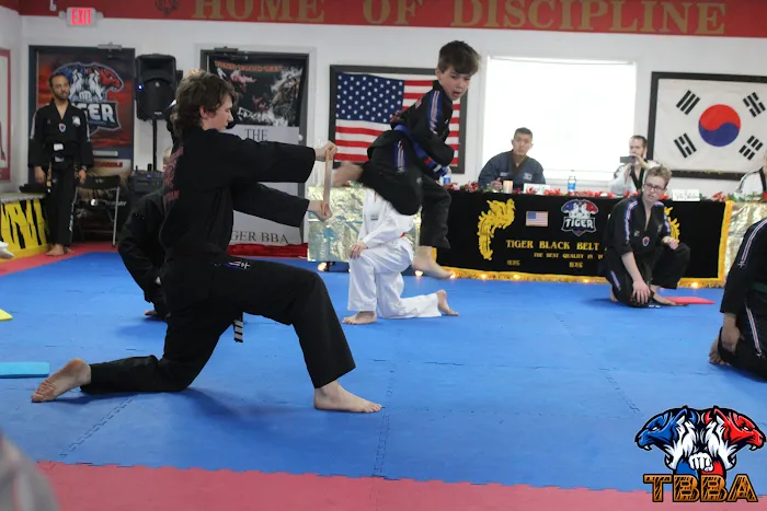 Tiger Black Belt Academy Picture 10