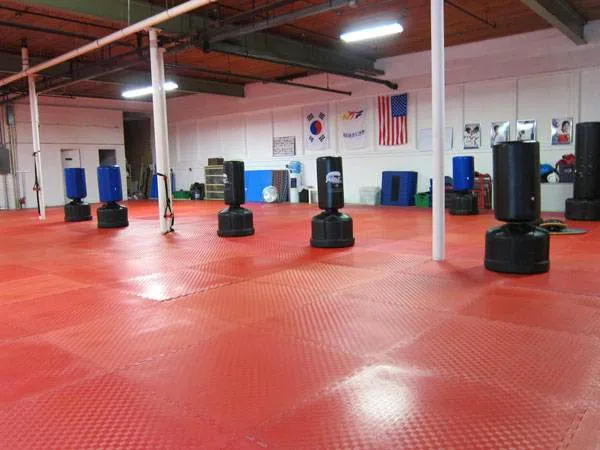 NH Kicks Taekwondo Family Fitness Picture 2