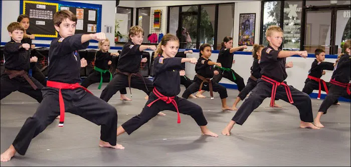 Empowering Lives Martial Arts LLC Picture 1