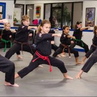 Empowering Lives Martial Arts LLC ico
