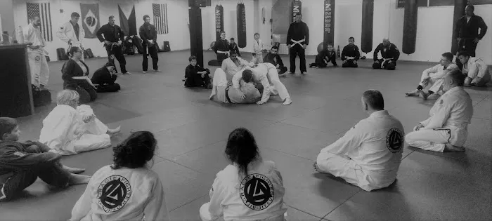 Gracie Fighter Jiu-jitsu at The Martial Arts Zone Picture 2