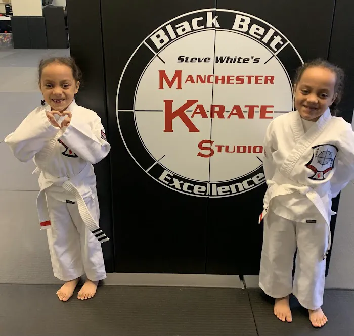 Manchester Karate Studio Picture 2