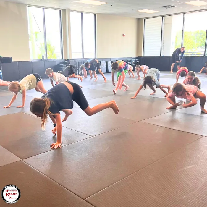 Manchester Karate Studio Picture 3