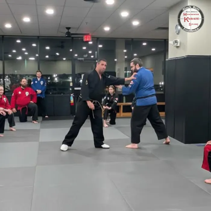 Manchester Karate Studio Picture 5