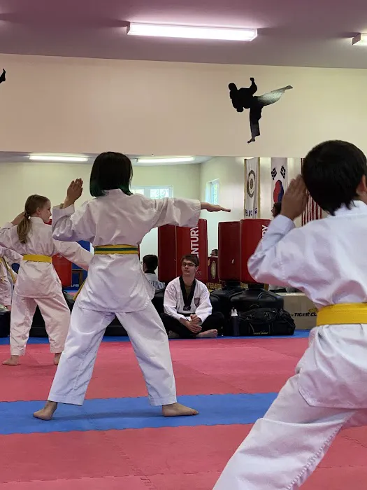 Capital City Tae Kwon Do Picture 4