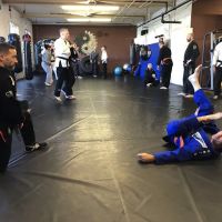 CHECKMATE MARTIAL ARTS ico