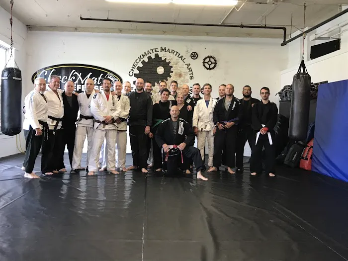 CHECKMATE MARTIAL ARTS Picture 3