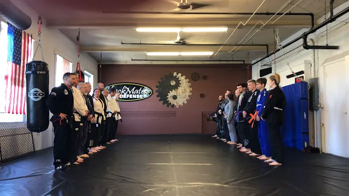 CHECKMATE MARTIAL ARTS Picture 2